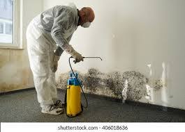 Professional Mold Removal & Remediation in Mcconnell Af, KS